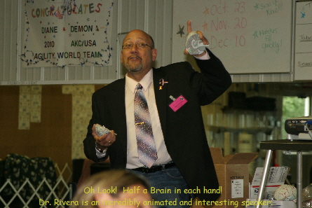 dpctz2011seminar_104