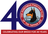 webicon40years